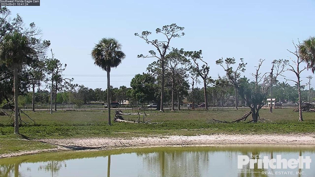 Southwest Florida Eagle Cam, Digital creator