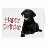 birthday-black-dog