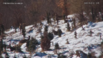 Zrzut-ekranu-52581