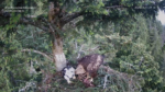 Zrzut-ekranu-54422